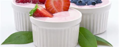 Домашний йогурт с пробиотиками: советы по приготовлению и ...